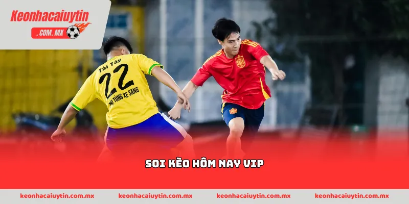 soi kèo hôm nay vip