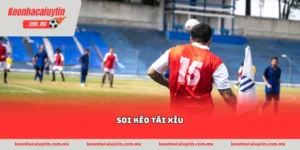 soi kèo tài xỉu